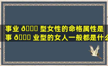 事业 💐 型女性的命格属性是（事 🐕 业型的女人一般都是什么样子的）